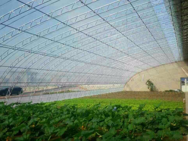 黑龙江案例展示
